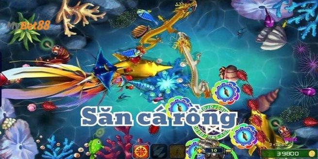 Giới thiệu đôi điều về bắn cá Rồng