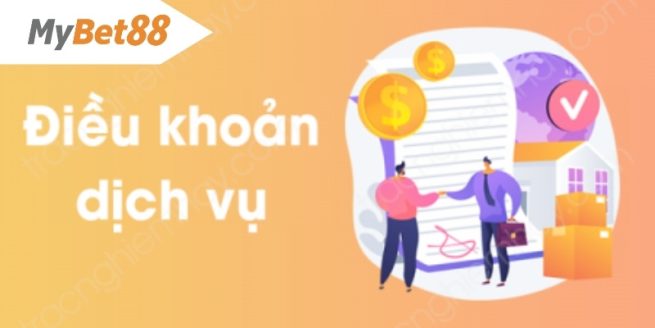 Sơ lược về điều khoản sử dụng