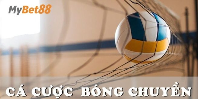 bóng chuyền online