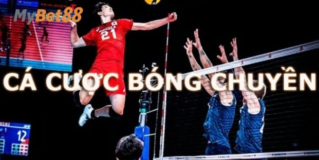 Cược bóng chuyền online ngày càng phổ biến