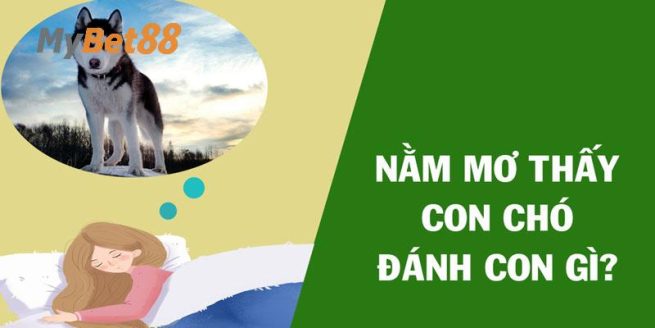 mơ thấy chó
