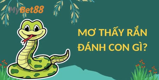 Những số lô đề nên chơi khi mơ gặp rắn