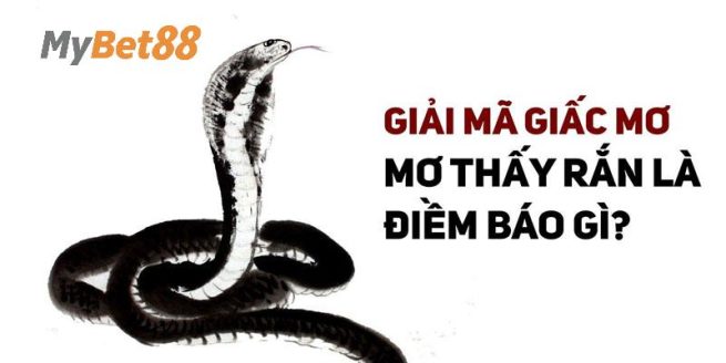 Ý nghĩa các điềm báo may hoặc rủi khi ngủ mộng thấy con rắn