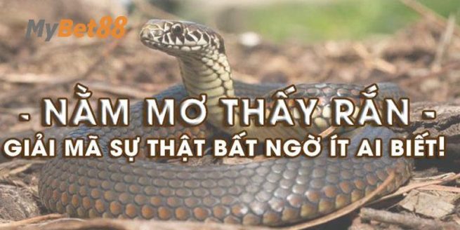 Giải thích điềm báo trong giấc mơ thấy rắn