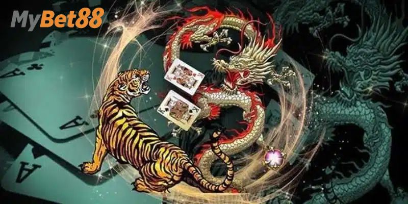 Trọn bộ cách chơi rồng hổ cơ bản cho người mới