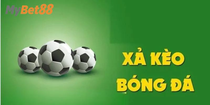 Một vài lưu ý khi áp dụng chiến thuật
