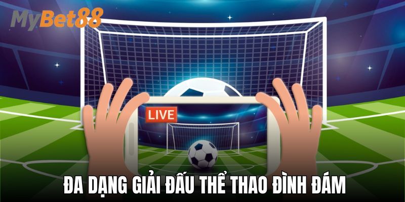 Đa dạng về bộ môn và giải đấu
