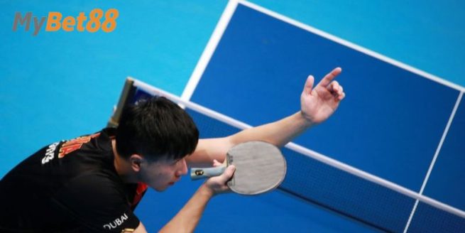 Luật Chơi Bóng Bàn Chi Tiết Nhất Cho Người Chơi Mới