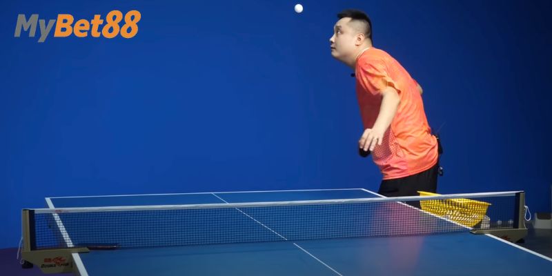 Đôi nét về bóng bàn